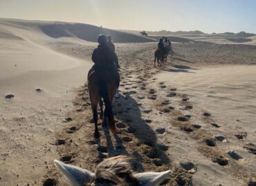 JOMM UTHINGO BEACH HORSE RIDE